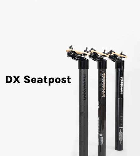 Bike seatpost setback seatpost