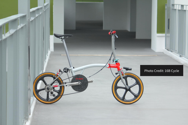 Photo_Credit_16B_Cyclin_grande