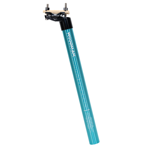 Tiffany Blue seatpost