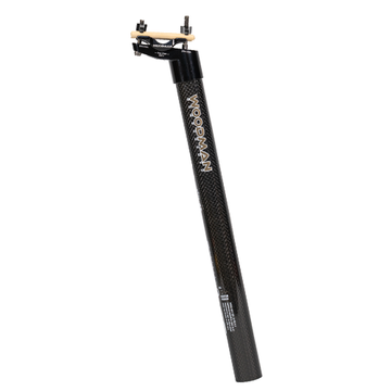 WOOdman Carbo DX seatpost and it's 25mm offset/seatback carbon seatpost