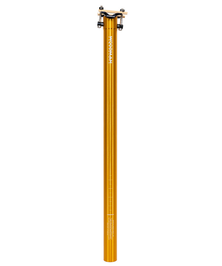 gold seatpost