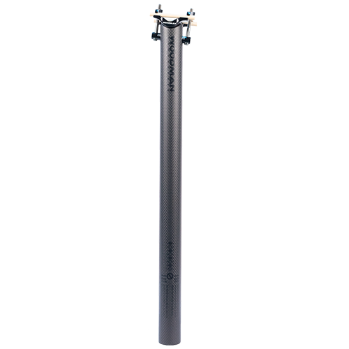 seatpost 31.6 450mm